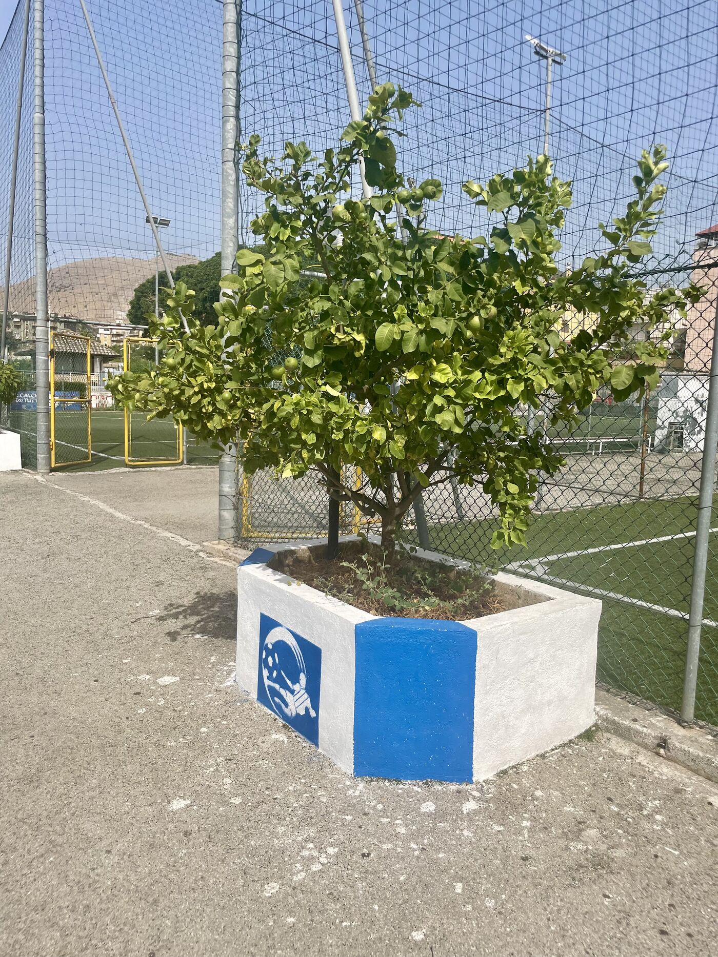 Dettaglio verde e brand